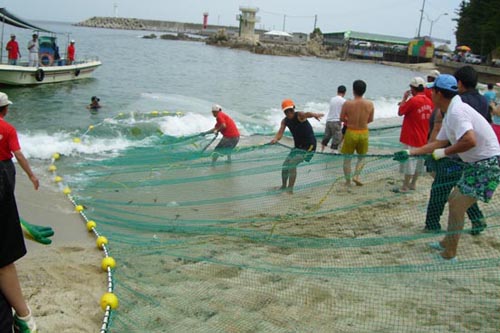  장호 어촌체험축제